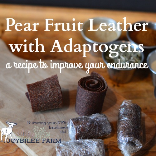 pear-fruit-leather-feature