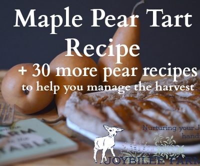 Maple Pear Tart Recipe and 30 More Pear Recipes to Help You Manage the Harvest