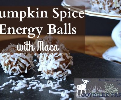 Pumpkin Spice Energy Balls with Maca
