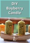 Bayberry Candle