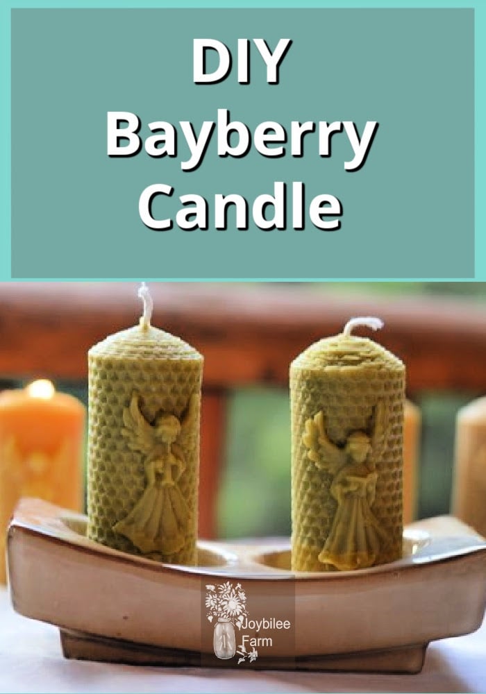 DIY Bayberry Candle from Foraged Berries Joybilee® Farm DIY Herbs