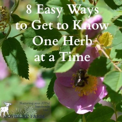 8 Easy Ways to Get to Know One Herb at a Time