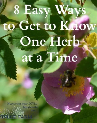 How to study herbs by focusing on one herb at a time. This will jump start your herbal learning and allow you to quickly master medicinal herbs.