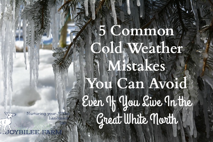 Living as we do in Canada. we've made a few cold weather mistakes. Some of these were serious mistakes. Maybe sharing these with you will help you avoid some dumb mistakes. If sharing my dumb mistakes will help you, I'm willing to risk the humiliation.