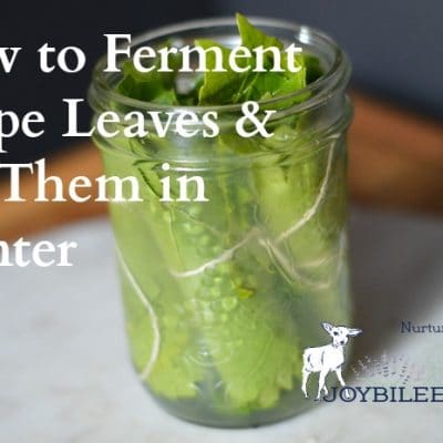 How to Ferment Grape Leaves