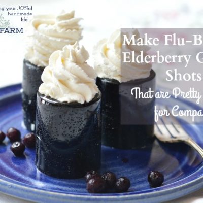 Make Flu-Busting Elderberry Gelatin Shots That are Pretty Enough for Company