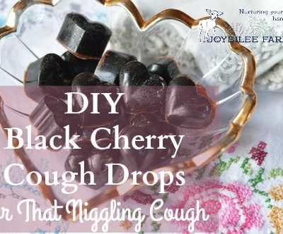 DIY Black Cherry Cough Drops