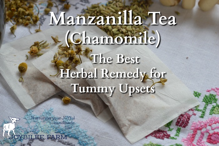 Chamomile tea, called manzanilla or “little apple” in Spanish, due to its apple-like scent, is one of the best herbal remedies for anxiety and sleeplessness. A cup of manzanilla tea before bed soothes and relaxes the mind, without leaving you groggy in the morning. It is safe for young children, pregnant women, nursing mothers, and the elderly. And while you probably know it well as a sleep and anxiety remedy, you probably didn’t realize that manzanilla tea is one of the best remedies for tummy upset, nausea, and colicky pains, among its many other benefits.