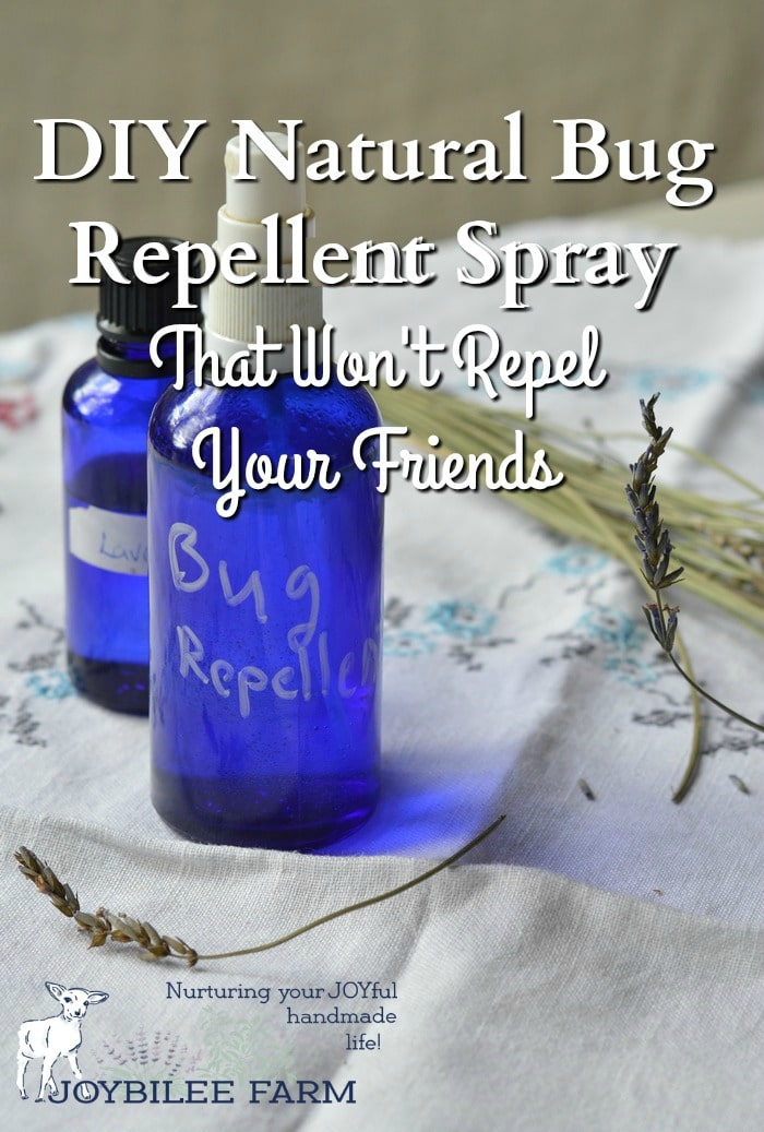 Diy Natural Bug Repellent Spray That