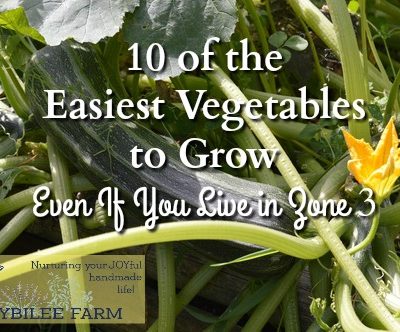 10 of the Easiest Vegetables to Grow