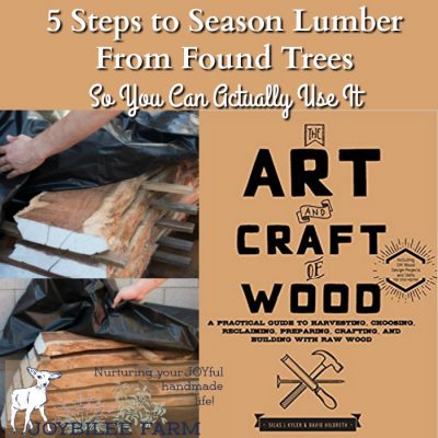 5 Steps to Season Lumber From Found Trees so You Can Make Something Beautiful