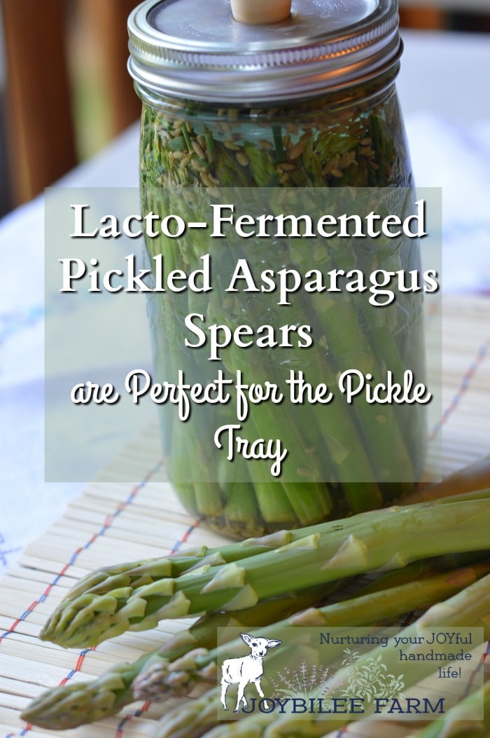 This recipe will give you tangy pickled asparagus with a crunch.  Crunchy, lacto-fermented asparagus is a better filling for fancy tea sandwiches and a nicer addition to the pickle tray.  This is what asparagus was made for.