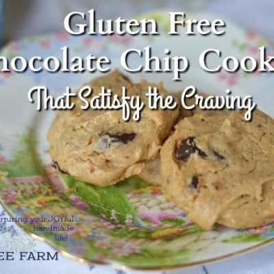 Gluten Free Chocolate Chip Cookies That Satisfy the Craving