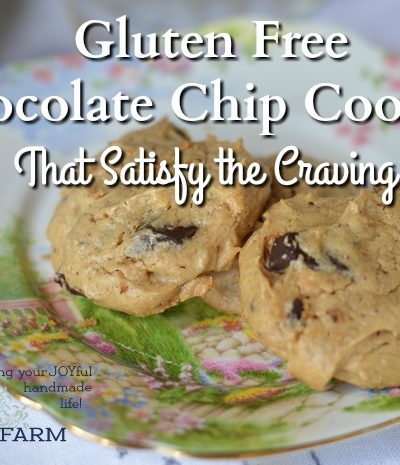 Gluten Free Chocolate Chip Cookies that will satisfy the craving