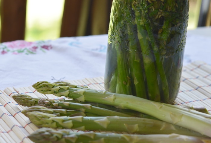 This recipe will give you tangy pickled asparagus with a crunch. Crunchy, lacto-fermented asparagus is a better filling for fancy tea sandwiches and a nicer addition to the pickle tray. This is what asparagus was made for.