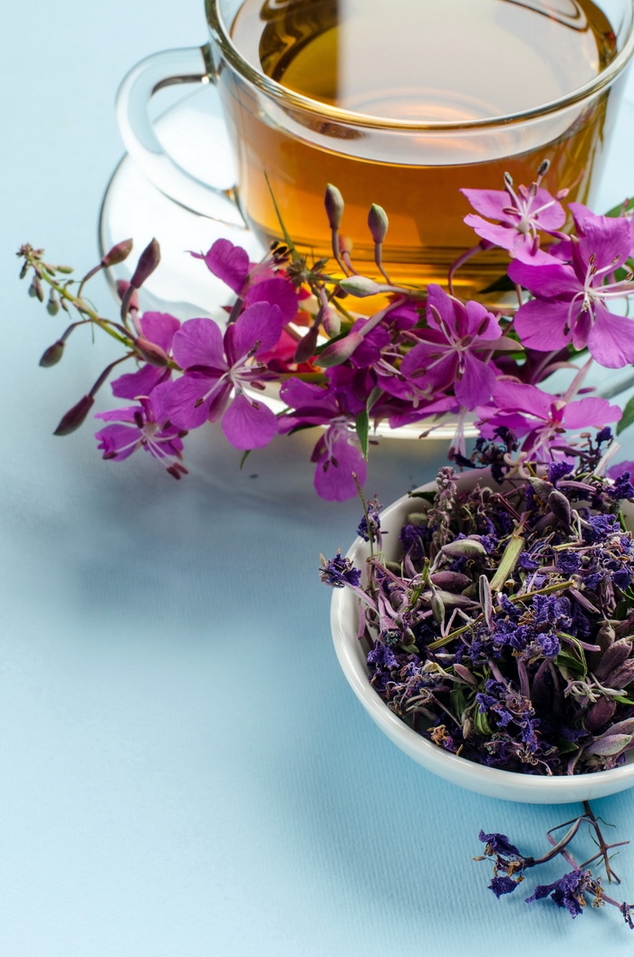 Receptek az ivan tea gyökereihez a prosztata adenoma kezelésére