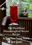 Hummingbirds at a red hummingbird feeder