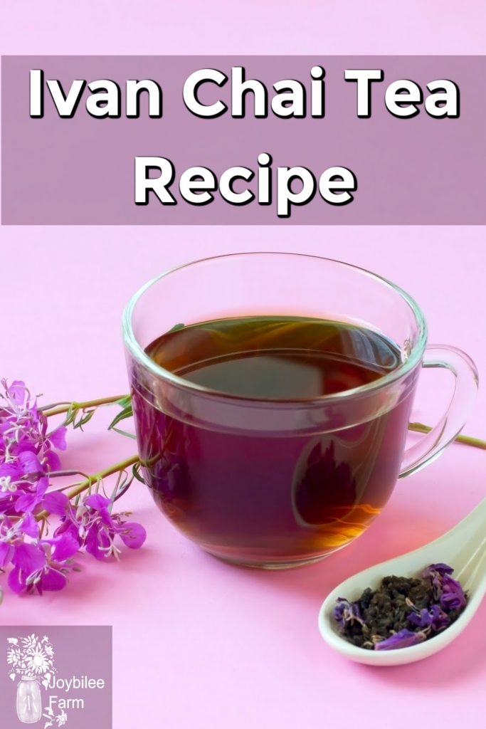 Hogyan készítsünk zöld teát Ivan Tea-tól. Billet Ivan Tea télen otthon