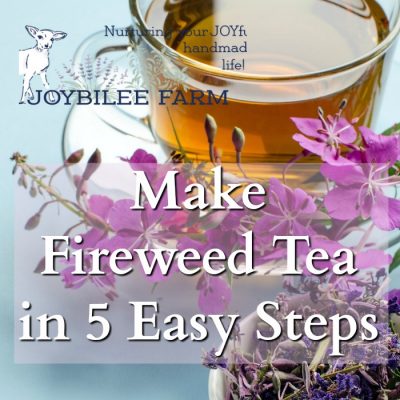 Make Fireweed Tea in 5 Easy Steps