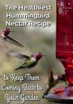 Multiple images of a hummingbird flying to a red hummingbird feeder
