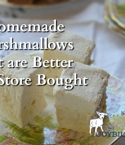 This is the basic recipe for herbal homemade marshmallows. Once you understand the formula you'll be able to be creative with your marshmallow recipes. Making homemade marshmallows is a skill that will make the other moms jealous.