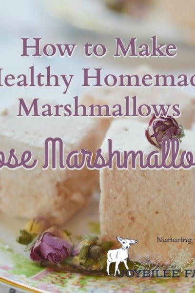 These healthy marshmallows are made with roses. They are a sweet, light finish to a meal, that also helps with digestion, reduces inflammation, and lifts the mood.