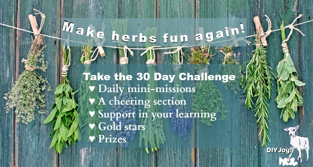 30 Day challenge