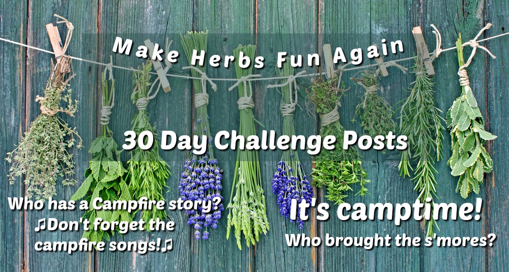 Make Herbs Fun Again at Herb Summer Camp -Reconnect with your passion
