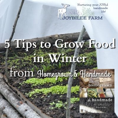5 Tips to Grow Food in Winter, Even If You Live in Zone 4