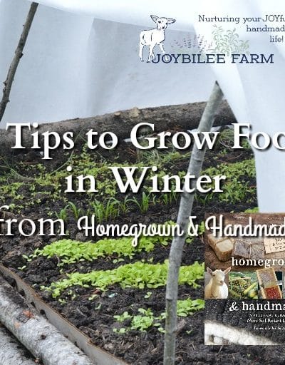 Grow food in winter with these tips