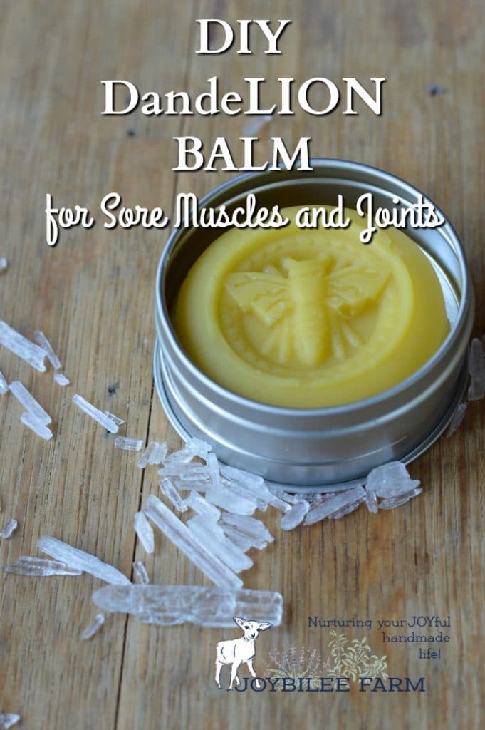 DandeLion balm is skin nourishing and useful for easing sore muscles, chapped skin, joint pain, headache, chest congestion, and other common complaints. Dandelion balm is nourishing and protective. You need this Lion Balm in your home apothecary to roar against pain and inflammation.