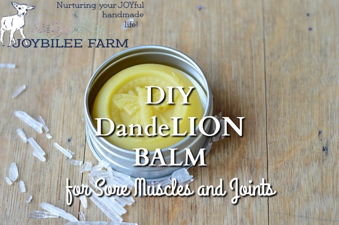 DandeLion balm is skin nourishing and useful for easing sore muscles, chapped skin, joint pain, headache, chest congestion, and other common complaints. Dandelion balm is nourishing and protective. You need this Lion Balm in your home apothecary to roar against pain and inflammation.