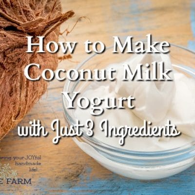 How to Make Coconut Milk Yogurt with Just 3 Ingredients