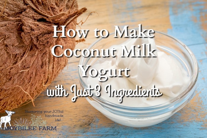 Coconut milk yogurt is a viable alternative yogurt made suitable for dairy-free, gluten-free, paleo, and GAPS special diets. It's easy to make at home with just 3 ingredients.