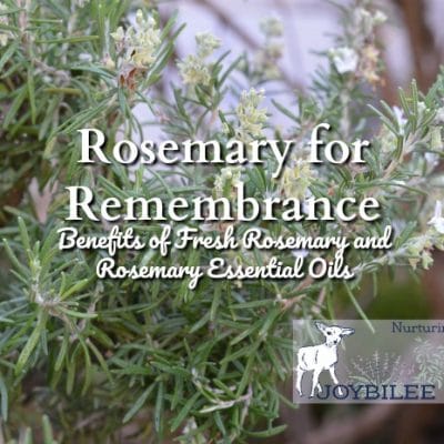 Rosemary for Remembrance, The Benefits of Fresh Rosemary and Rosemary Essential Oils