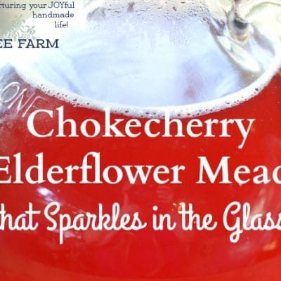 Chokecherry Elderflower Mead Recipe that Sparkles in the Glass
