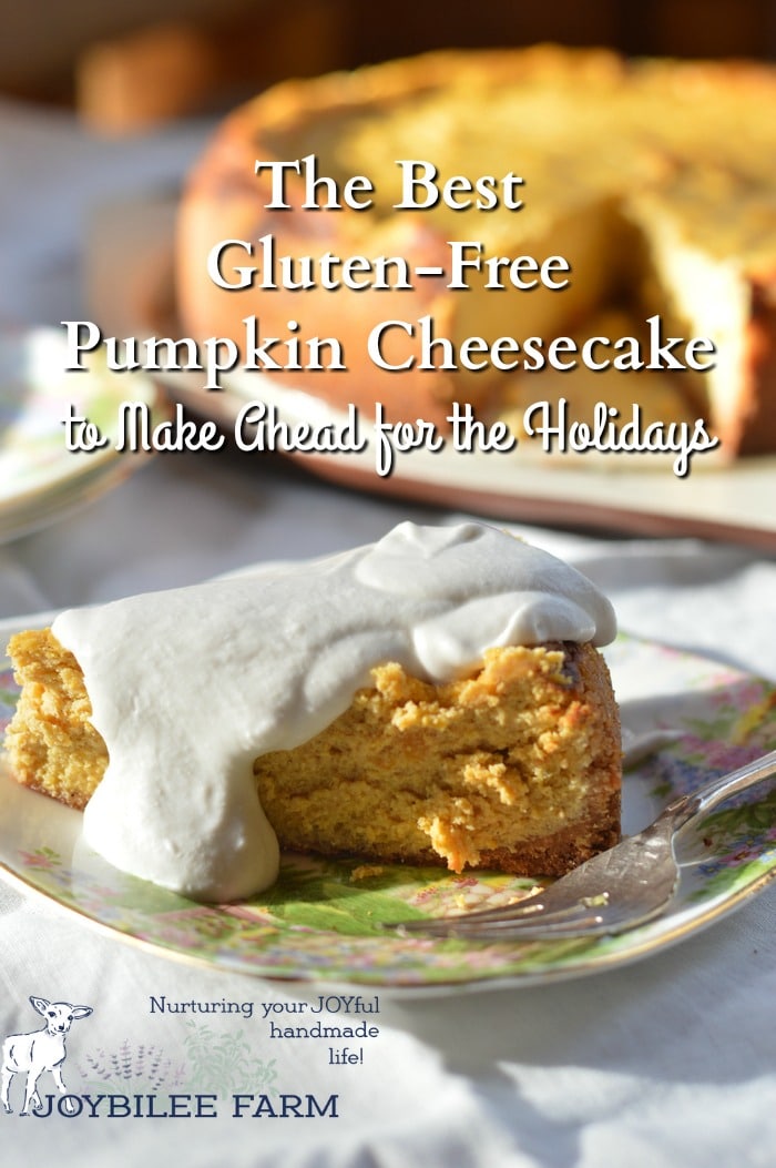 Gluten-free pumpkin cheesecake that can b