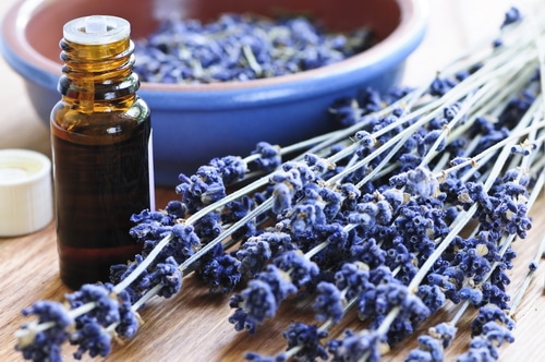 dried lavender and an essential oil bottle