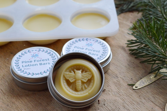 This pine forest lotion bar recipe is useful for winter dry skin, chapped lips, chapped hands and cheeks, and dry elbows. Bonus: It smells a lot like Christmas.