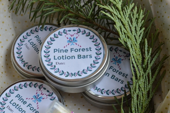 This pine forest lotion bar recipe is useful for winter dry skin, chapped lips, chapped hands and cheeks, and dry elbows. Bonus: It smells a lot like Christmas.