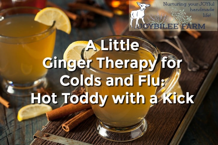 How to use Ginger for Colds and Flu with a Ginger Hot Toddy Recipe