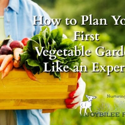 How to Plan Your First Vegetable Garden Like an Expert
