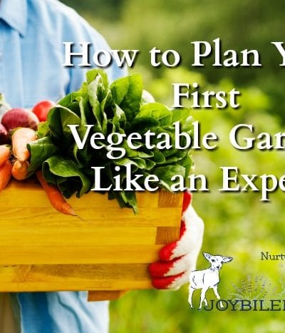 How to plan a garden that can feed your family for months, even if you are a beginner.