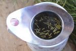Pine needle tea has significant amounts of vitamin C, vitamin A, and flavoniods that make it a citrus-y flavored tonic drink to forage in winter.