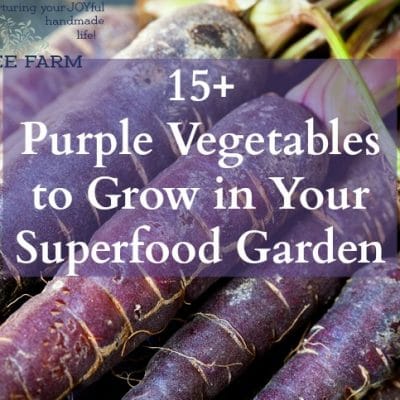15+ Purple Vegetables to Grow in Your Superfood Garden