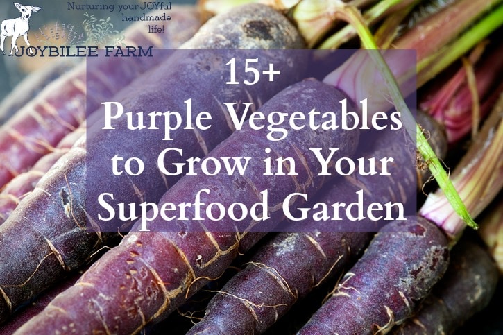 Purple vegetables are rich in anthocyanins, an antioxidant that gives the red, blue, and purple pigment to plants. Anthocyanins are known to fight free radical damage at the cellular level, offering antiviral, anti-inflammatory, and anticancer benefits. Getting more purple vegetables in your garden and into your meals is an easy way to increase the nutrition and health of your daily meals.