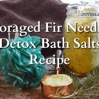 Foraged Fir Needle Detox Bath Salts Recipe to Help You Feel Better Faster
