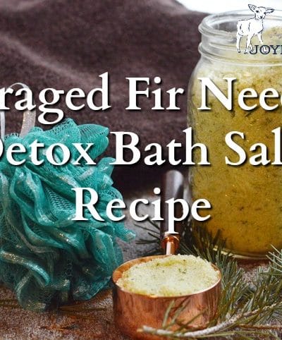 This detox bath salts recipe, made with foraged Douglas fir needles, is rich in health boosting actions to relieve pain, sooth inflammation, and get you feeling better faster. Make some now to have on hand when you need it during cold and flu season.