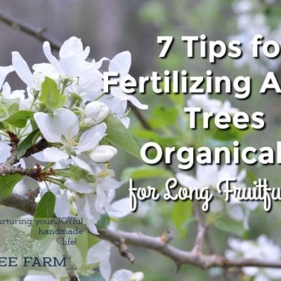 7 Tips for Fertilizing Apple Trees Organically for Long Fruitfulness