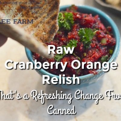 Raw Cranberry Orange Relish That’s a Refreshing Change From Canned